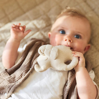 Elephant Tales Rattle