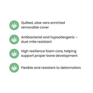 Midi Cot Bed With Aloe Vera Mattress - Walnut (140x70) - Mokee