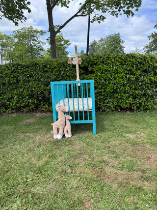Mini Cot Bed - Ocean Teal (120x60) Solid beechwood