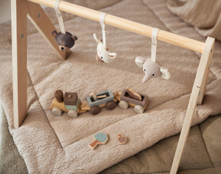 Jollein Wooden Baby Gym with Animal Toys