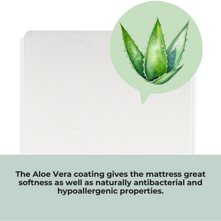 Mini Cot Bed With Aloe Vera Mattress - Walnut - Mokee