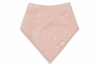 Bandana Bibs 2 Pack - Twinkling Wild Rose