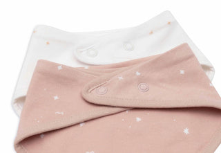 Bandana Bibs 2 Pack - Twinkling Wild Rose